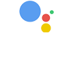 Google Assistant